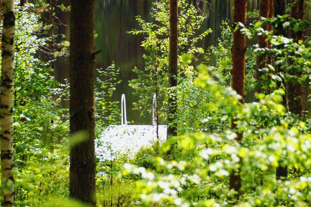 Kettu Holl Cottage Taipalsaari Zewnętrze zdjęcie