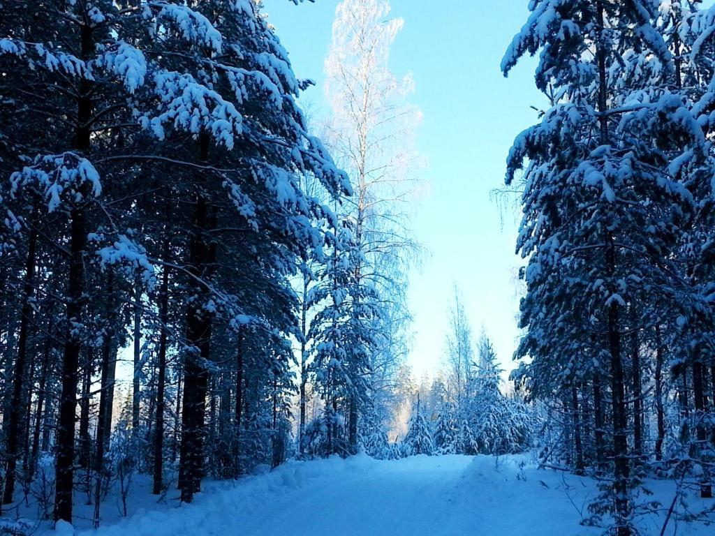 Kettu Holl Cottage Taipalsaari Zewnętrze zdjęcie