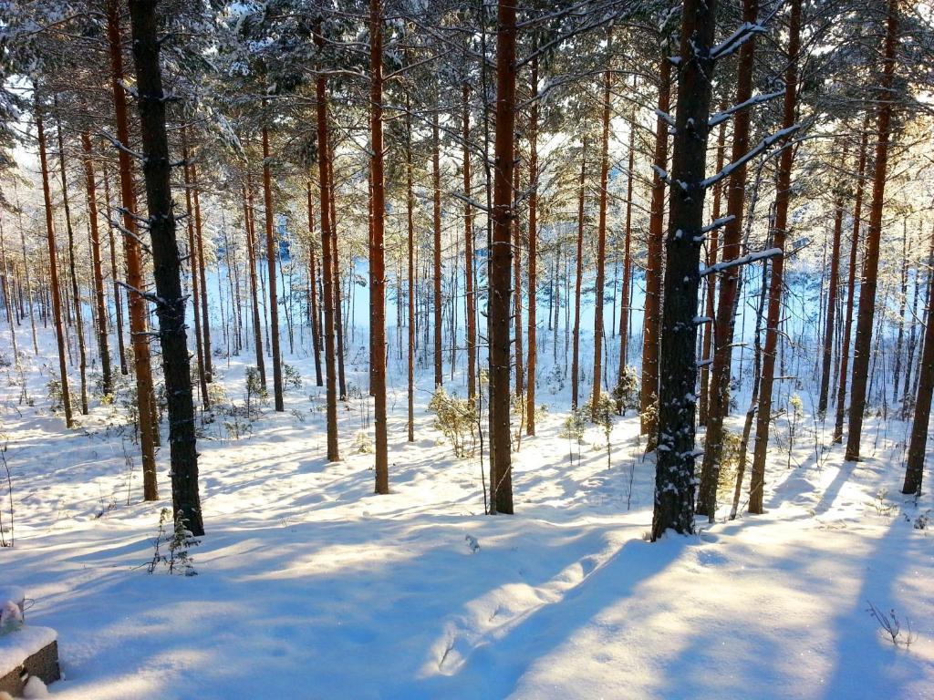 Kettu Holl Cottage Taipalsaari Zewnętrze zdjęcie