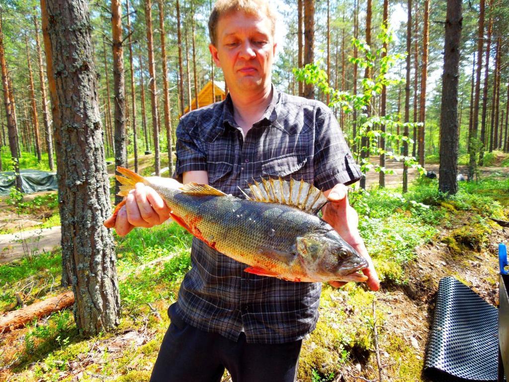 Kettu Holl Cottage Taipalsaari Zewnętrze zdjęcie