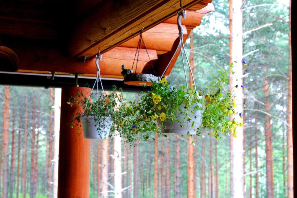 Kettu Holl Cottage Taipalsaari Zewnętrze zdjęcie