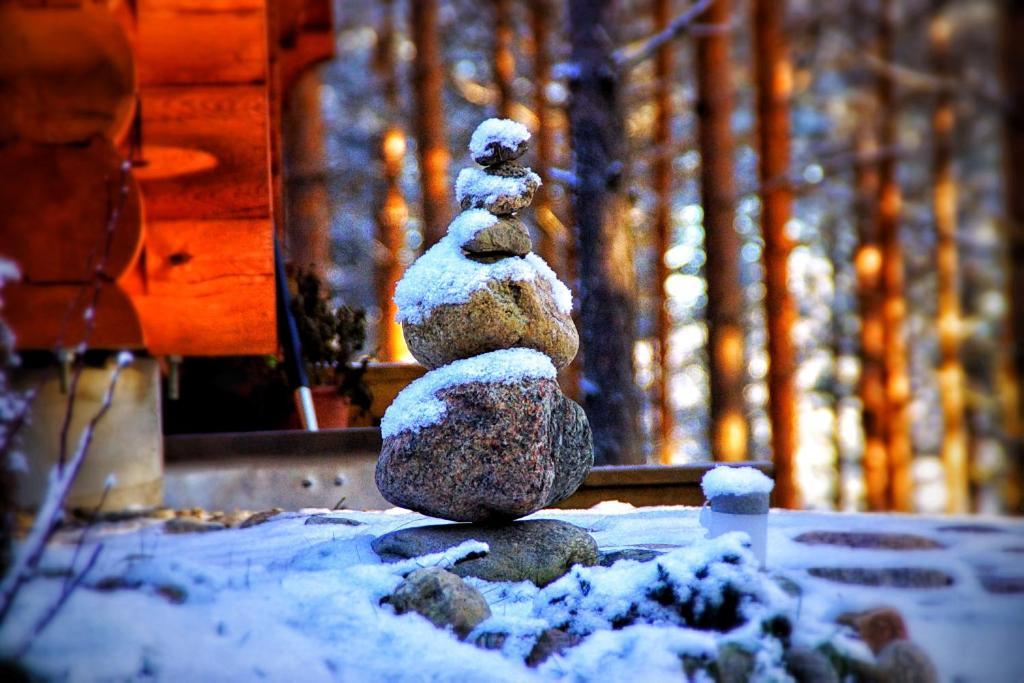 Kettu Holl Cottage Taipalsaari Zewnętrze zdjęcie